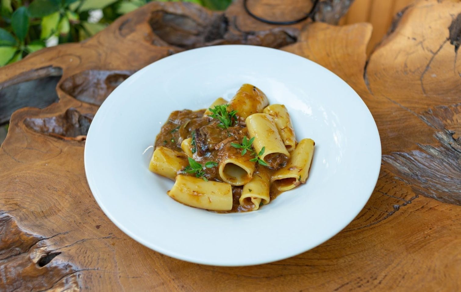 copertina osterie slow food