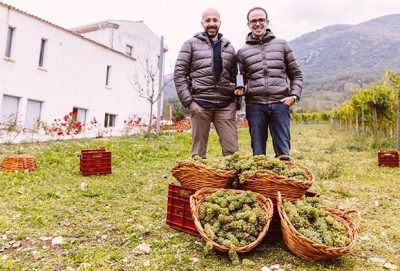 niko romito e la prima annata del pecorino casadonna a370