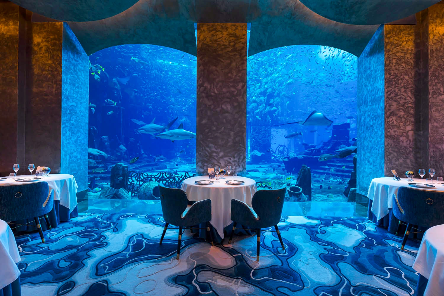 Ossiano: The Michelin-Starred Restaurant Inside an Aquarium with 65,000  Fish. | Latest news | Reporter Gourmet S.r.l.