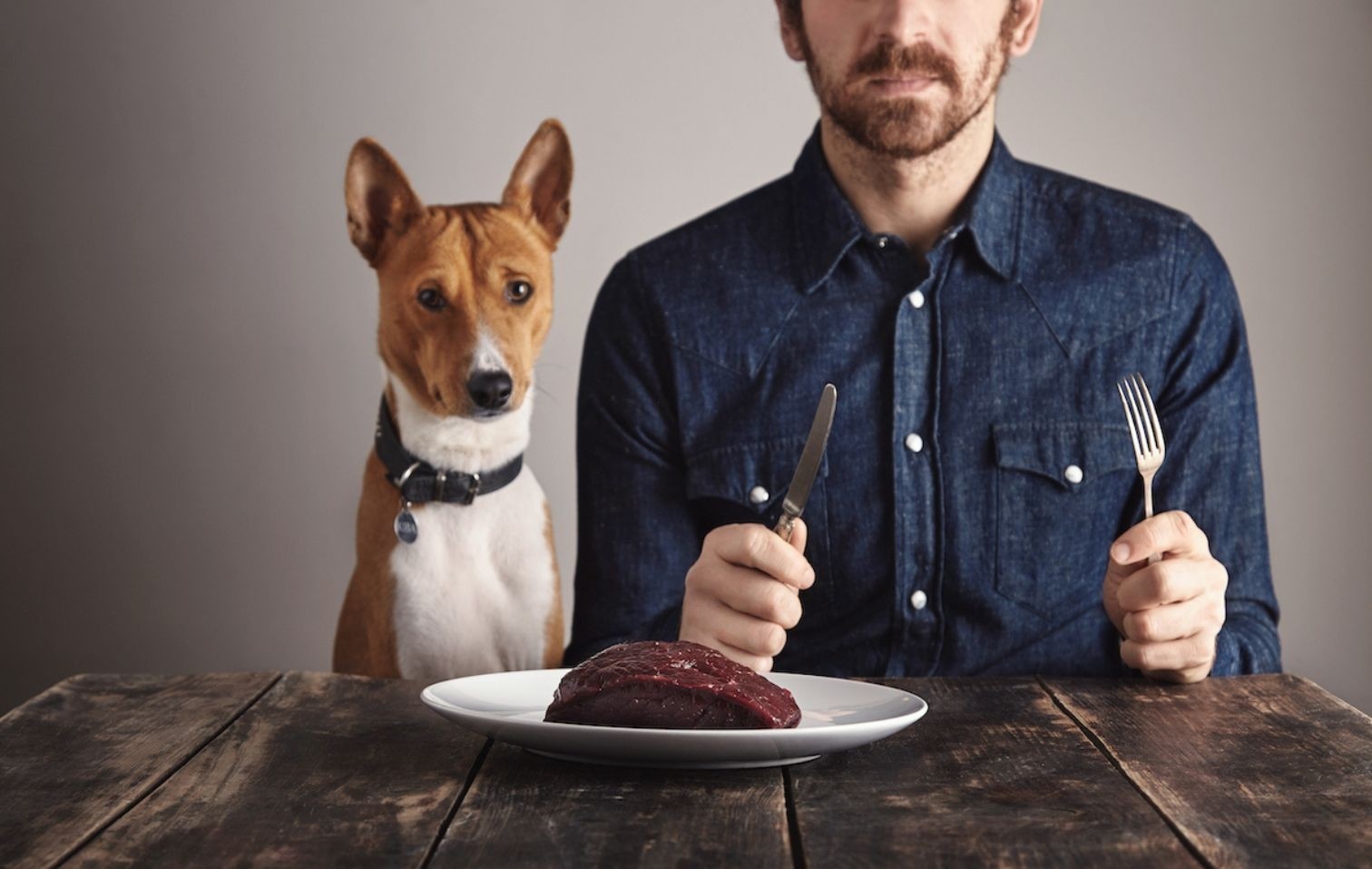 copertina cane ristorante 2025 04 03 01 44 13