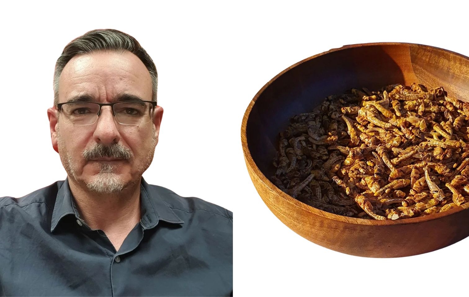 Um Ali Insect Edible insects: yes or no? The leader of the “gourmet crickets ...