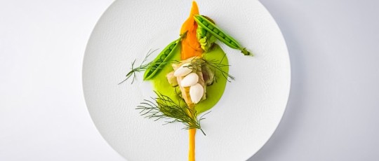 branzino e albicocche pierre gagnaire rev