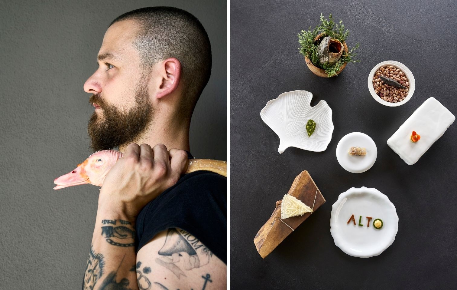 copertina alto mattia trabetti