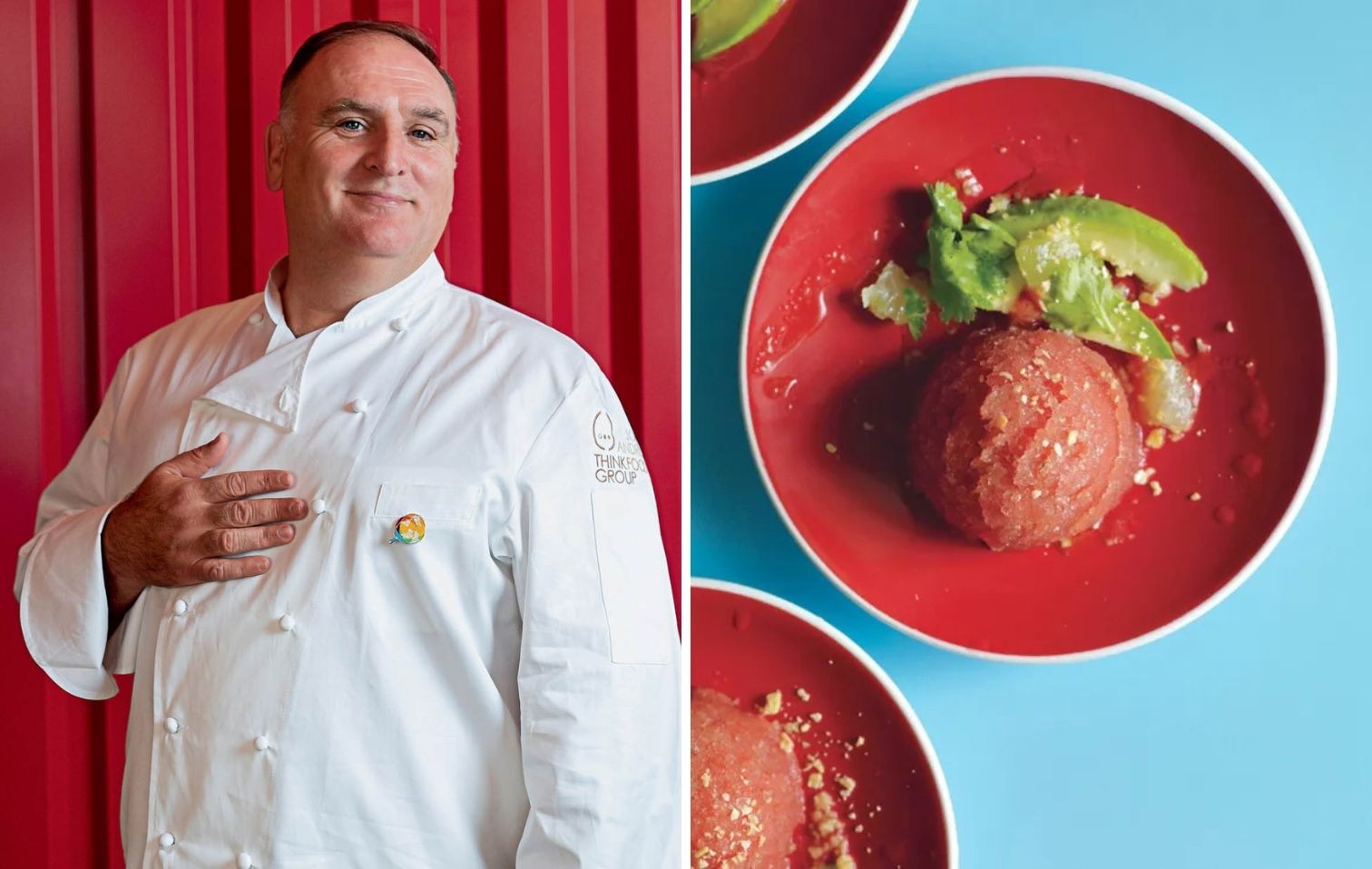 copertina sorbetto andres