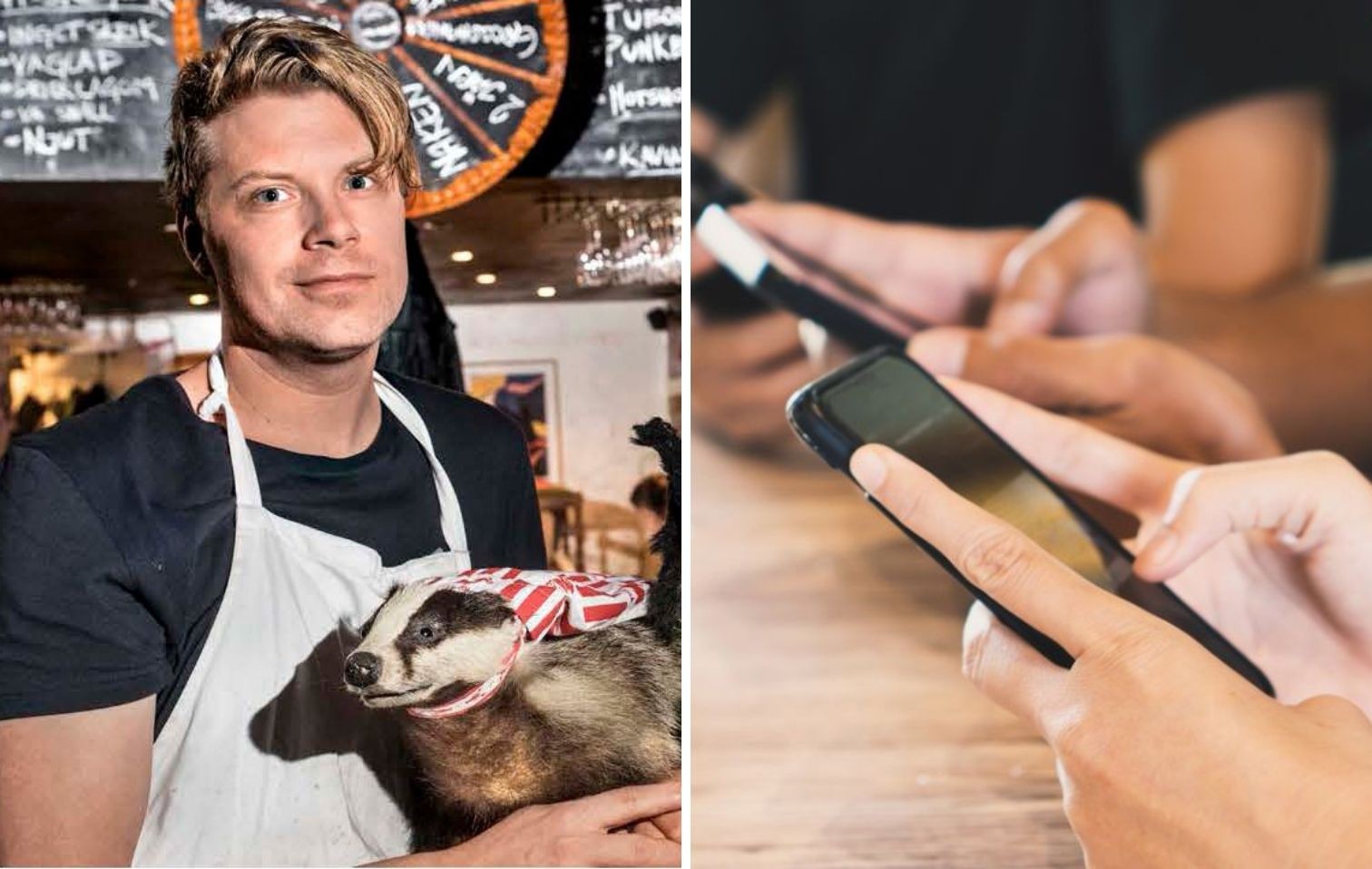 copertina punk royale cellulari