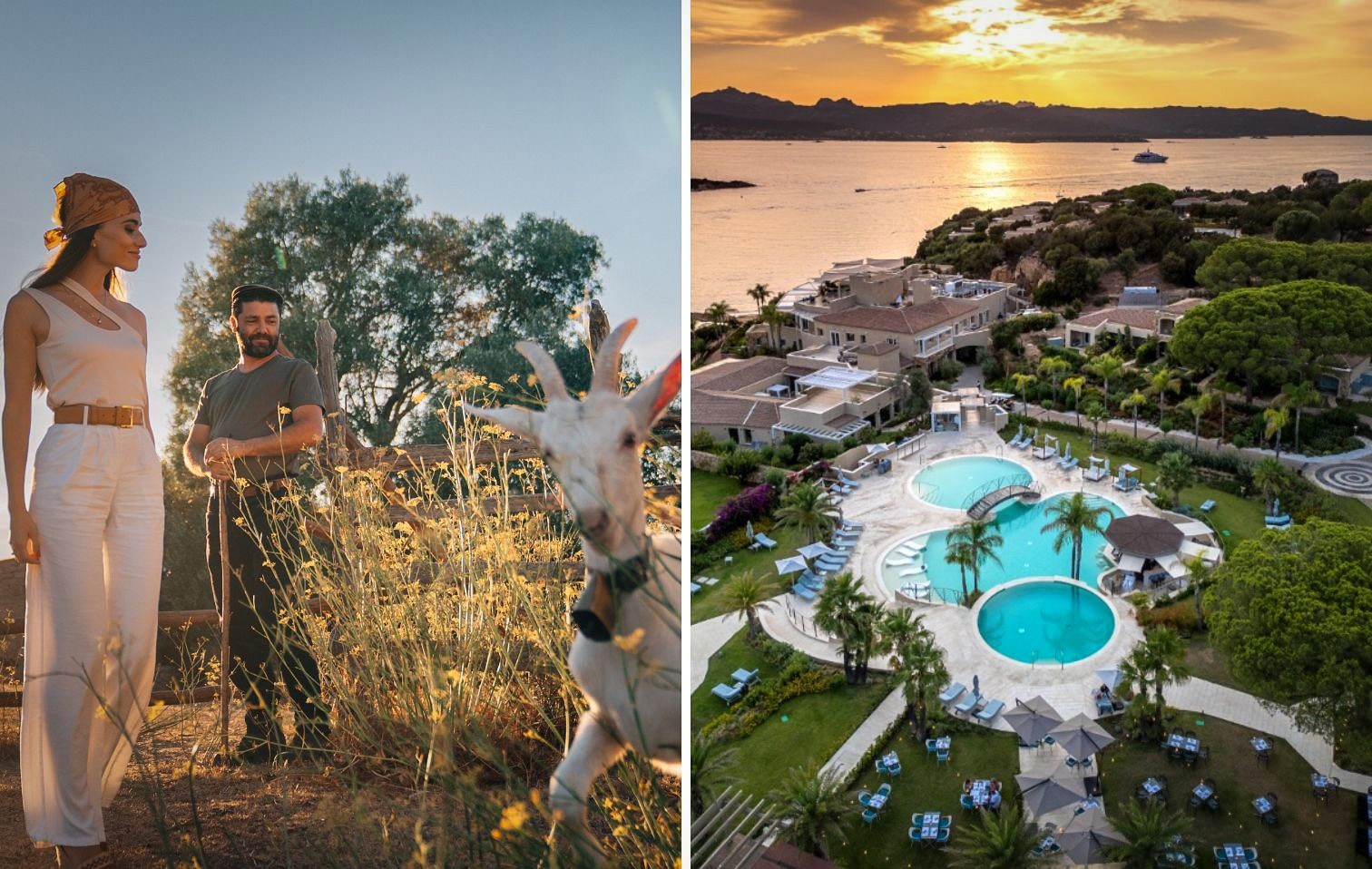 copertina 7pines 2025 09 29 14 38 38