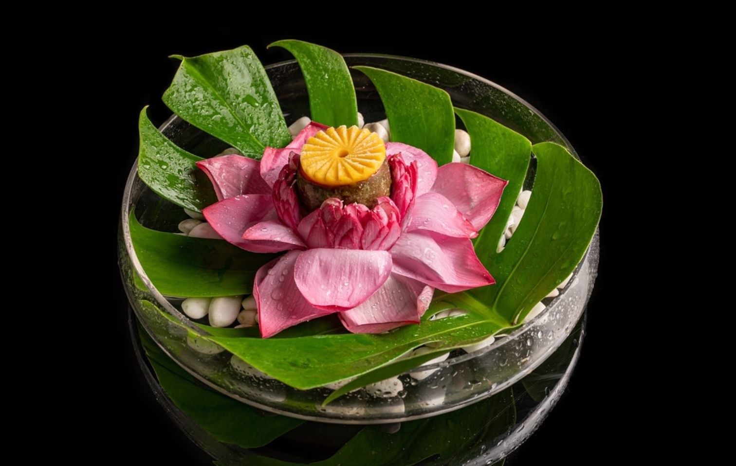 copertina cucina vegetariana migliori stellati michelin