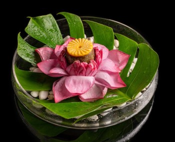 copertina cucina vegetariana migliori stellati michelin