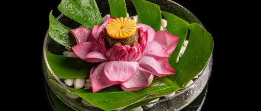 copertina cucina vegetariana migliori stellati michelin