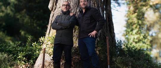 Savini Monco Nicco Leone 13