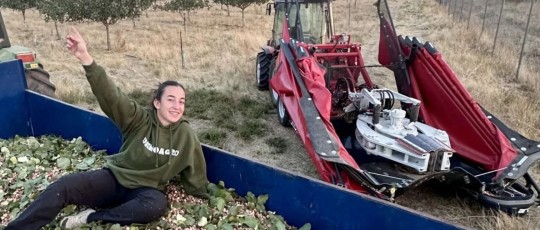 copertina pilar pascual