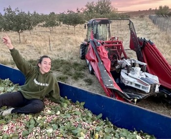 copertina pilar pascual