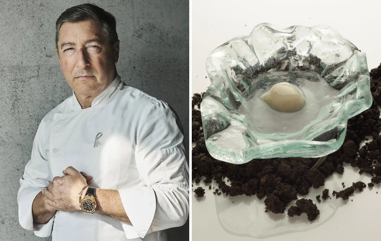 copertina soil and oyster roca