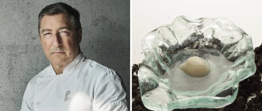 copertina soil and oyster roca