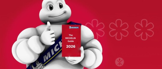 copertina guida michelin 206