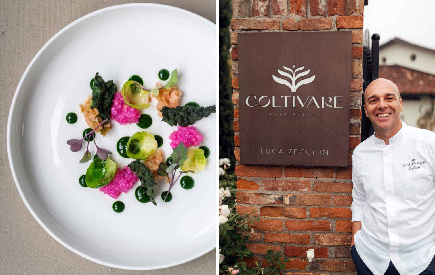 Nuova copertina sito 35