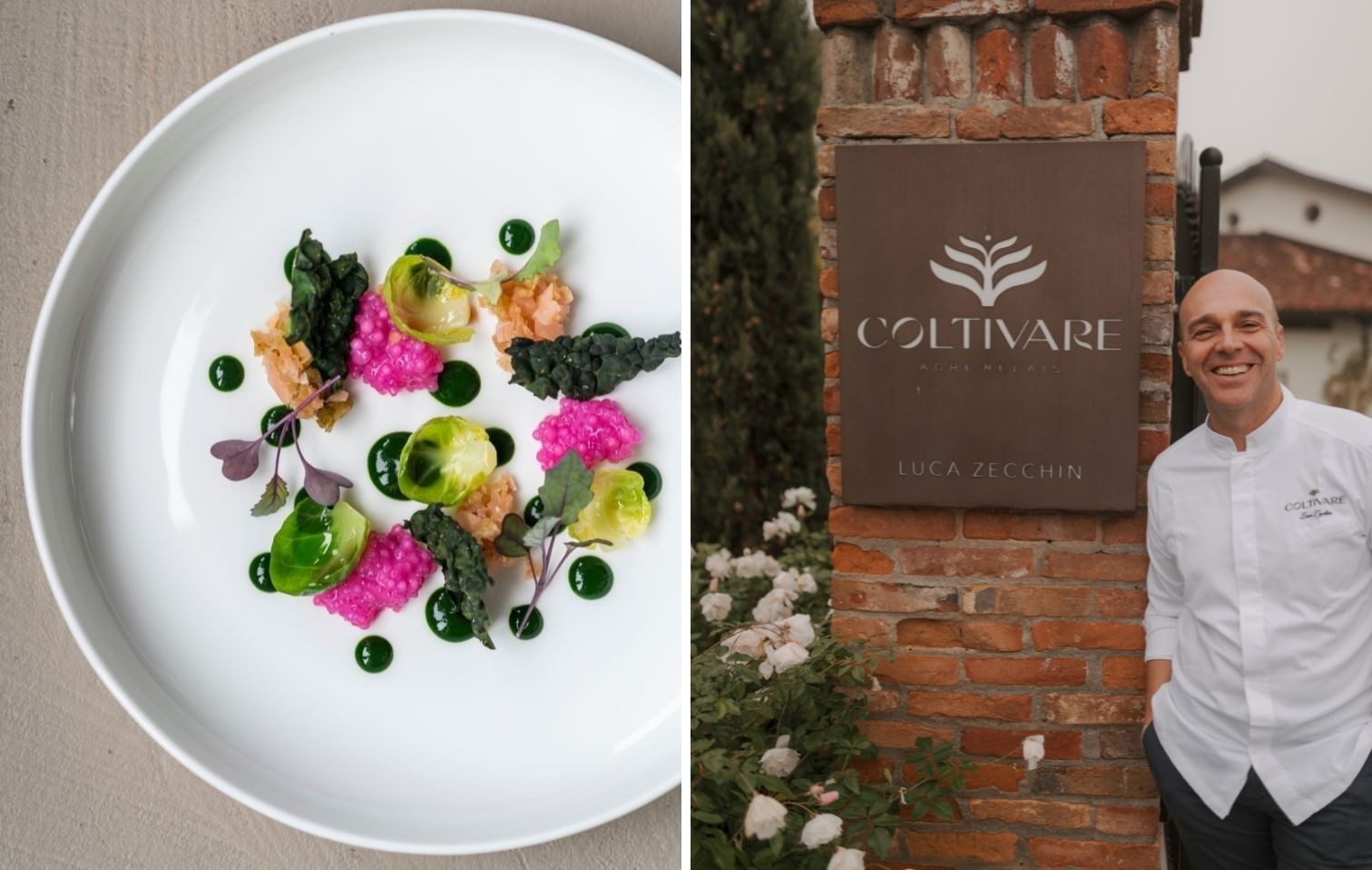 Nuova copertina sito 35