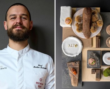 copertina emilia vegetale