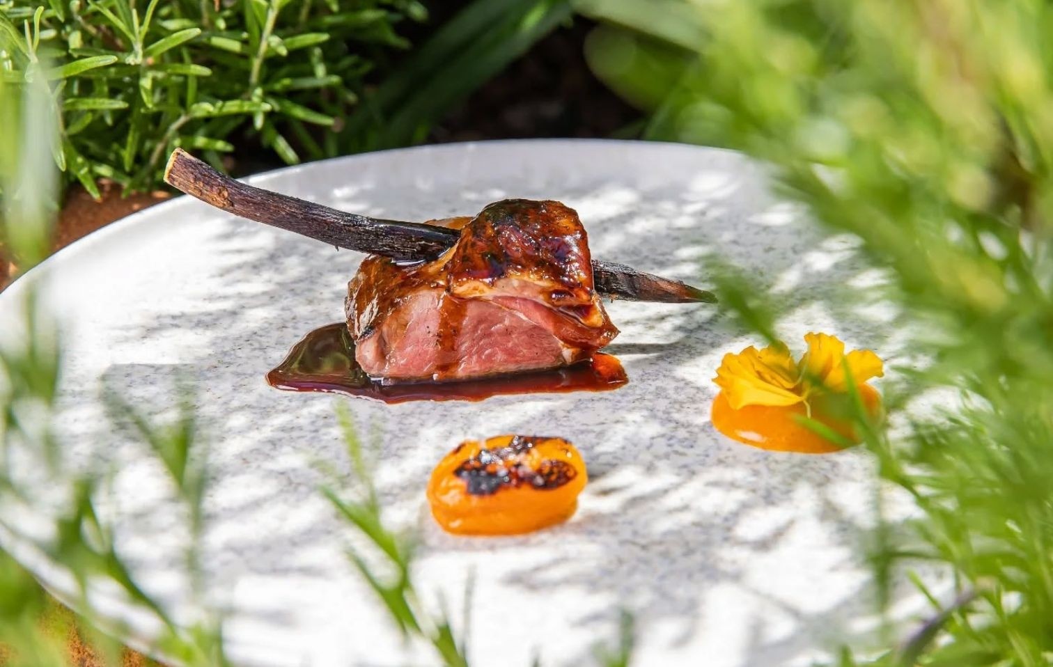 copertina agnello zunica