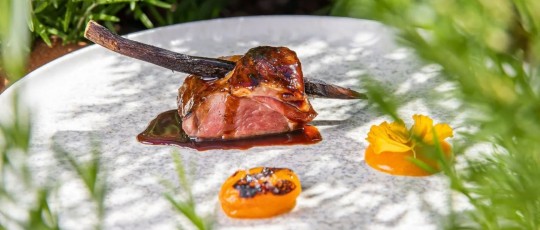 copertina agnello zunica