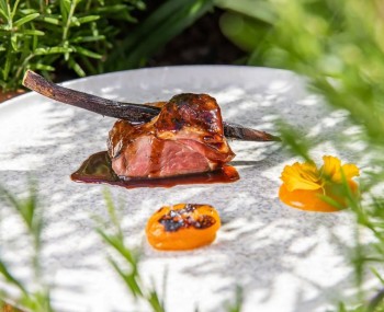 copertina agnello zunica