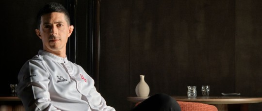 copertina mammoliti 2025 11 28 15 33 12