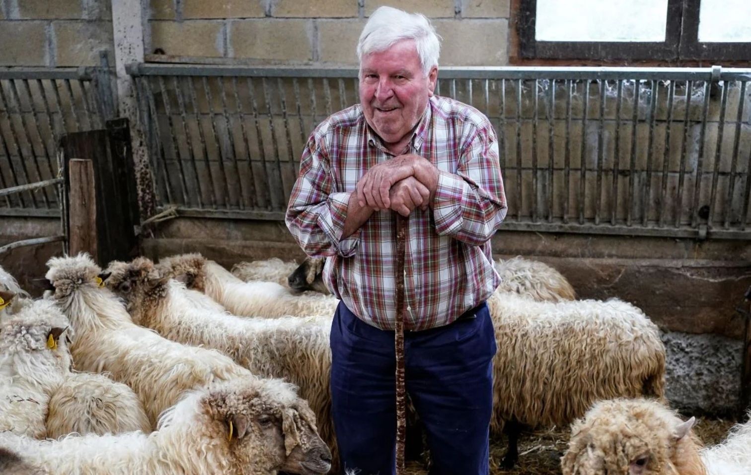 copertina crispin arregui