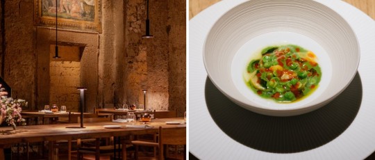 COPERTINA SITO RACHELE