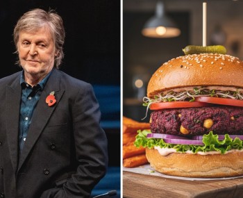 copertina burger vegano