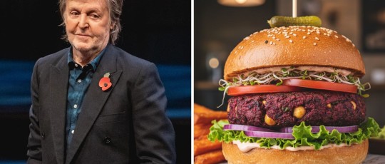 copertina burger vegano