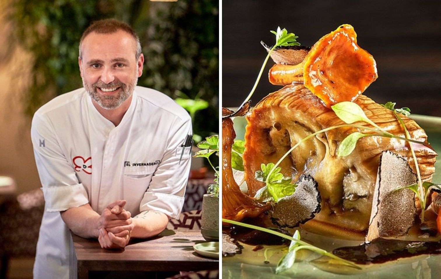 copertina el invernadero