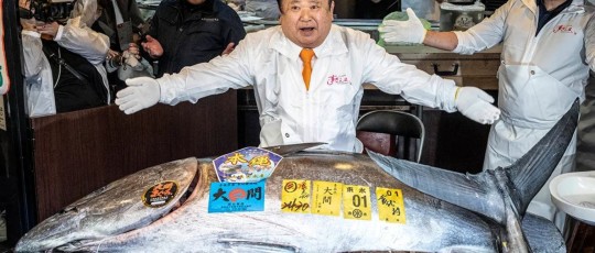 Copertina tonno 28 milioni