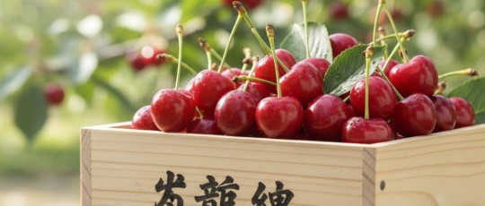 copertina sato nikishi