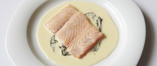 saumon a l oseille