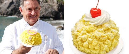 copertina mimosa sal de riso