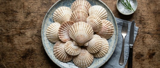 Gemini Generated Image w39qnsw39qnsw39q