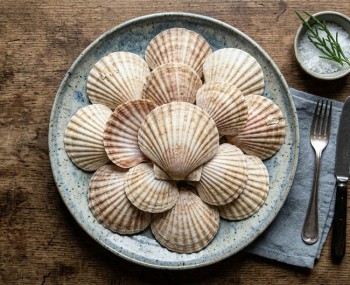 Gemini Generated Image w39qnsw39qnsw39q