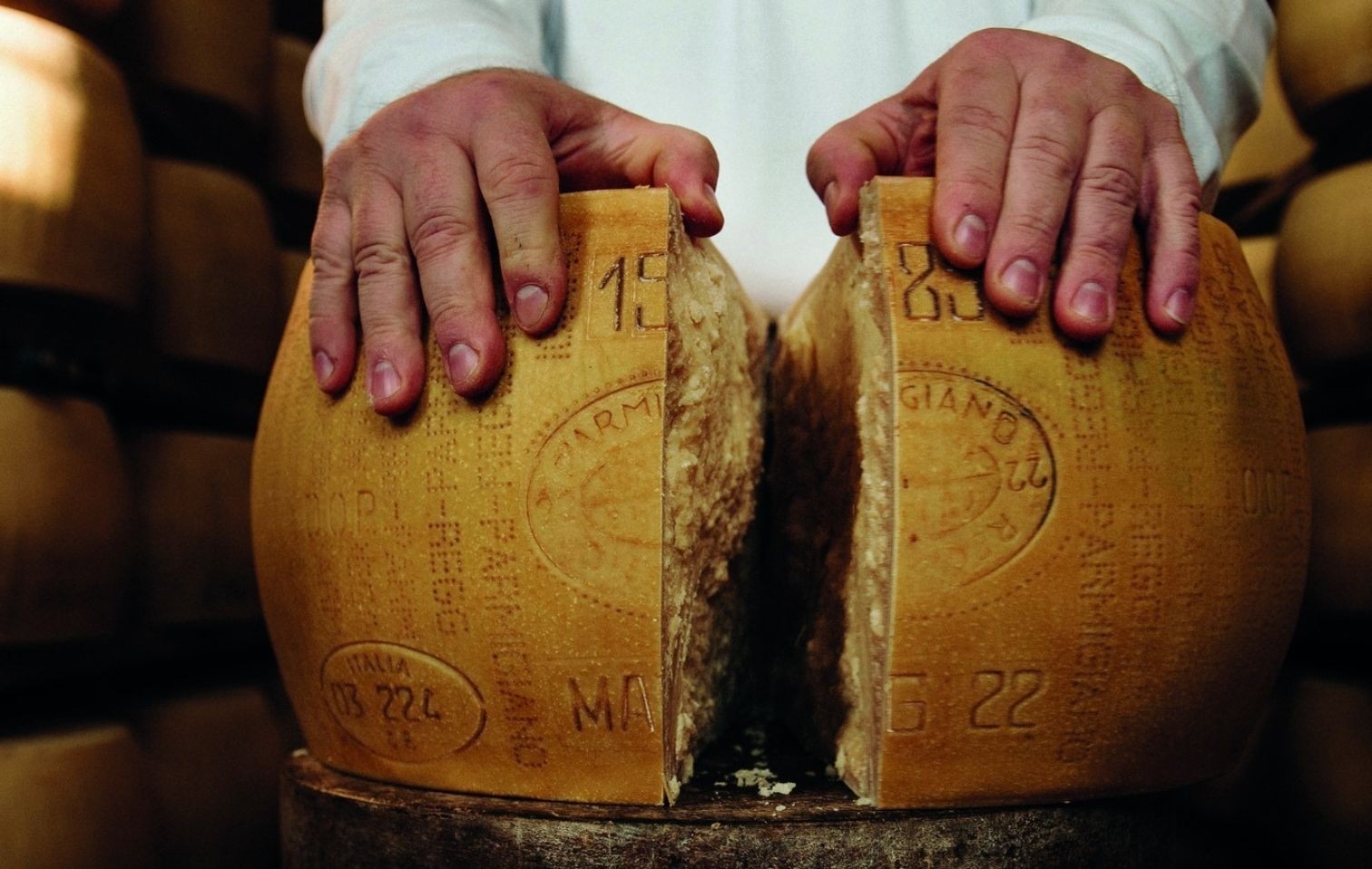 copertina parmigiano reggiano 2026 03 31 01 16 08
