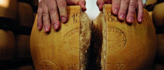 copertina parmigiano reggiano 2026 03 31 01 16 08