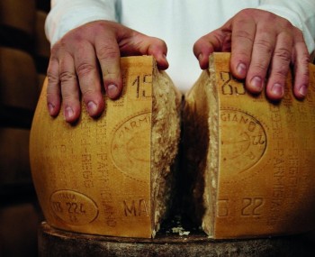 copertina parmigiano reggiano 2026 03 31 01 16 08