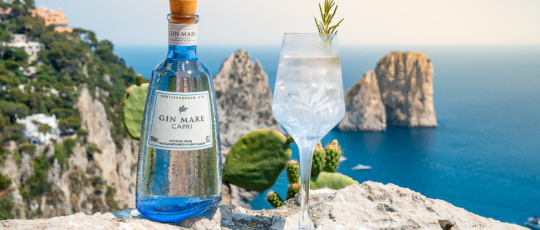 Copertina Gin Mare Capri e Giardino Mediterraneo