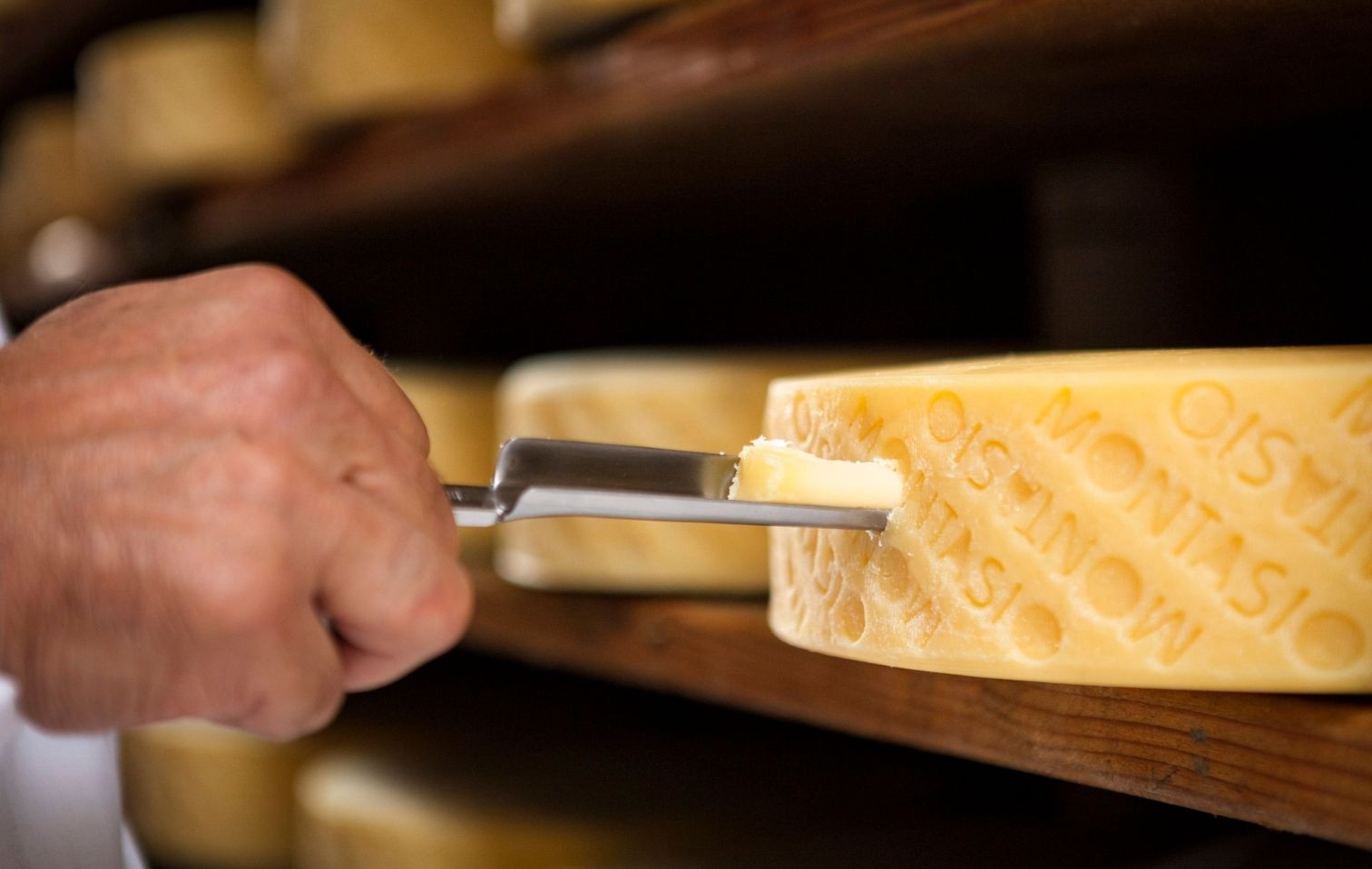 copertina montasio 2026 03 19 14 22 45