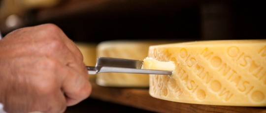 copertina montasio 2026 03 19 14 22 45