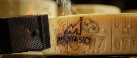 copertina montasio dop ricerca salute