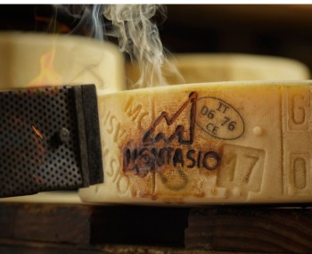 copertina montasio dop ricerca salute