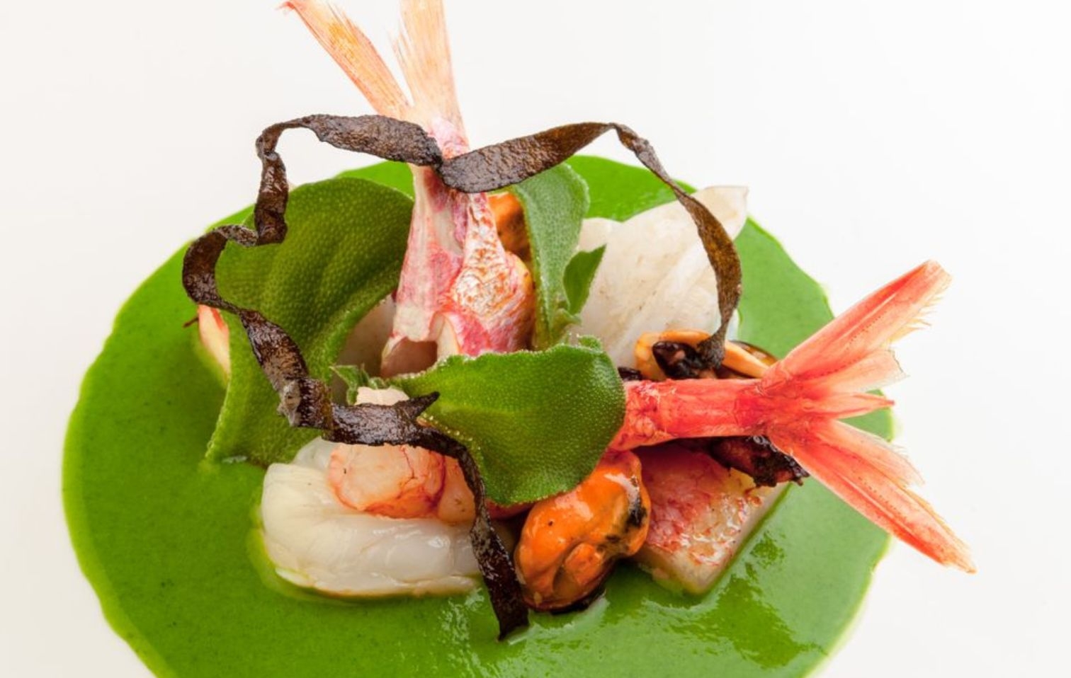 It is a stew, but a fish one: Antonino Cannavacciuolo's recipe | Chef Recipes | Reporter Gourmet S.r