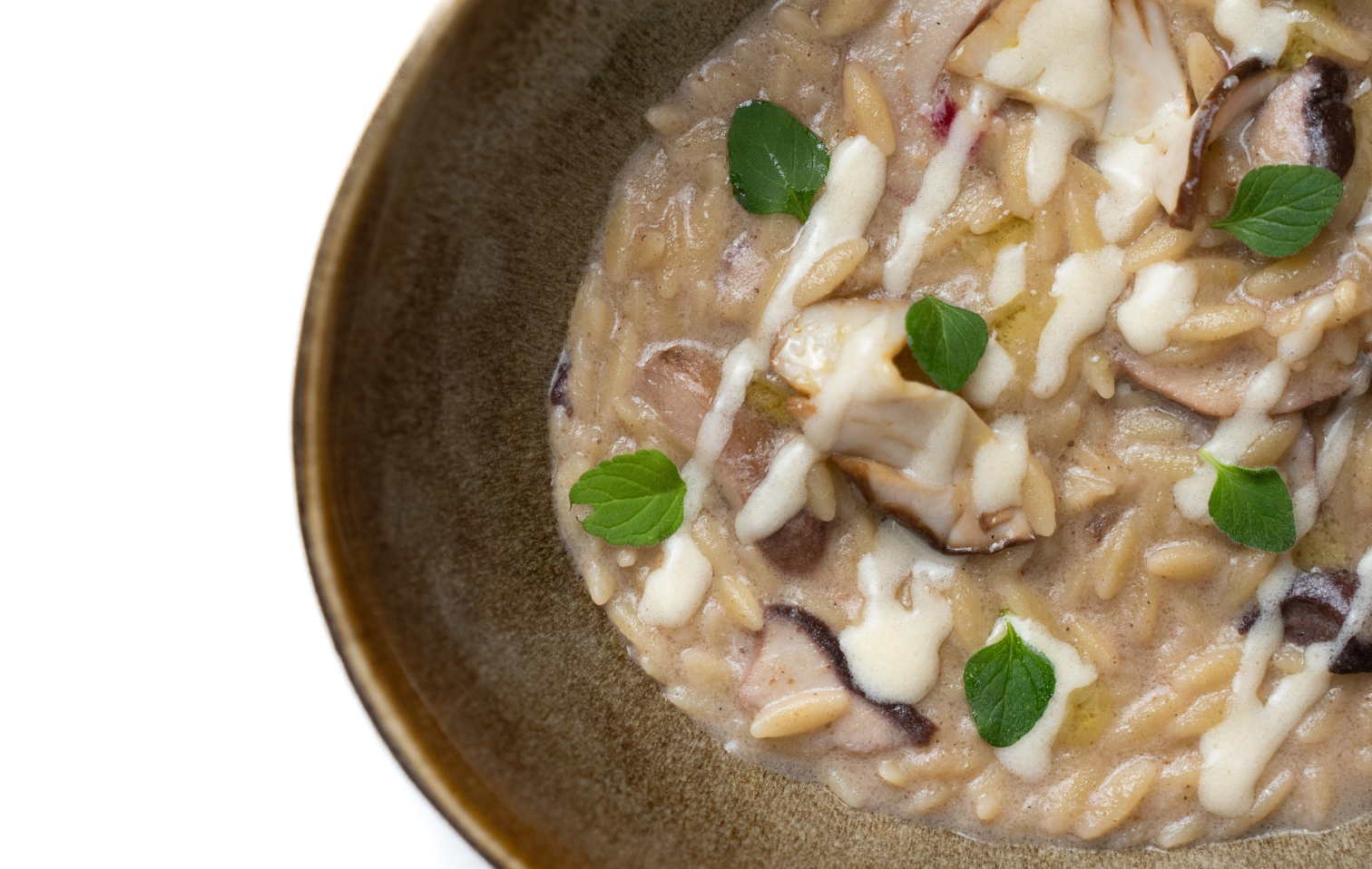 Silene's "porcini risoni" in Foligno by chef Nicoletta Franceschini | Chef Recipes | Reporter Gourme