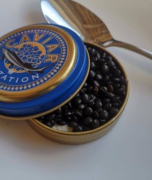 iside de cesare caviale lenticchie 2