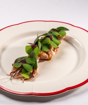 larotonda totano de bonaccia 1