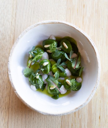 Gnocchi Latte c Venissa